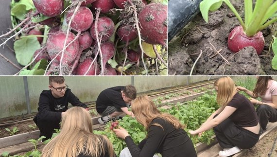 Фото з групи "Ріпкинський ліцей" у ФБ