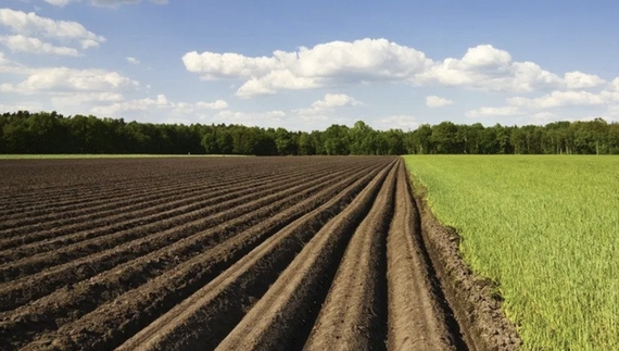 Два невитребуваних паї теж принесуть гроші громаді
