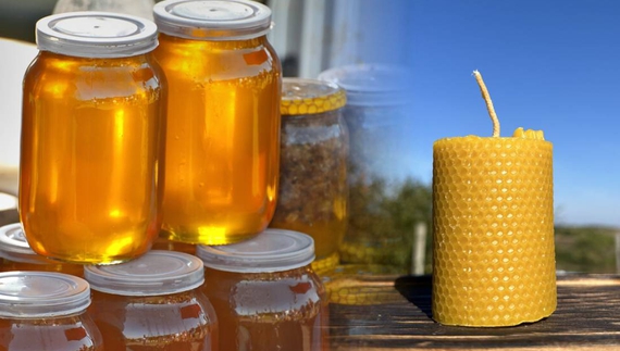 Бджоляр із Чернігівщини збирає мед і робить свічки: почім продає
