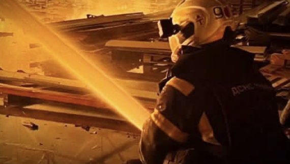 На Чернігівщині горів ліс та фабрика: ДСНС показали пожежі після обстрілів
